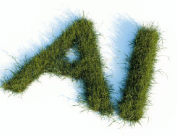 AI Isn't an Advancement: It's an&nbsp;Answer